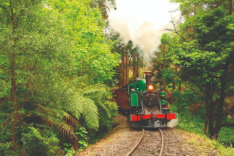 Half Day Puffing Billy Train Journey From Melbourne - Accommodation Gold Coast 2