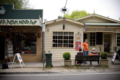 Half Day Puffing Billy Train Journey From Melbourne - Accommodation Gold Coast 10