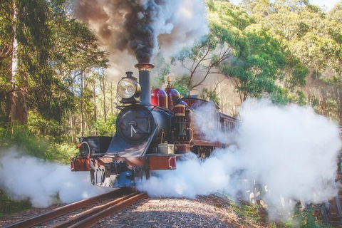 Half Day Puffing Billy Train Journey From Melbourne - Accommodation Gold Coast 4