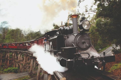 Half Day Puffing Billy Train Journey From Melbourne - Accommodation Gold Coast 3