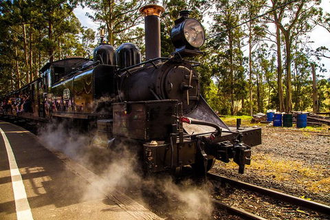 Half Day Puffing Billy Train Journey From Melbourne - Accommodation Gold Coast 6