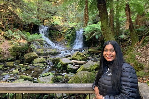 Day Tour In Mt. Field, Mt. Wellington, Bonorong Wildlife Sanctuary And Richmond - Accommodation Gold Coast 4