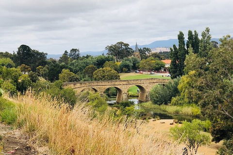 Day Tour In Mt. Field, Mt. Wellington, Bonorong Wildlife Sanctuary And Richmond - Accommodation Gold Coast 6