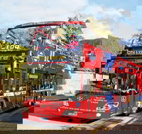 Hobart Hop-on Hop-off Bus Tour - Accommodation Gold Coast