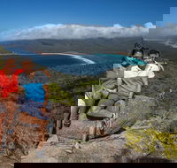 Full-Day Tour One-Way from Launceston to Hobart with Freycinet National Park - Accommodation Gold Coast