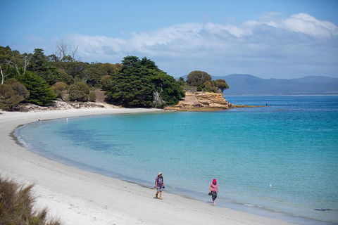 Maria Island Active Day Trip From Hobart - Accommodation Gold Coast 1