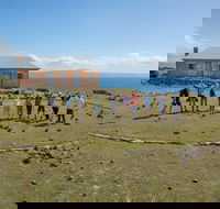 Maria Island Active Day Trip from Hobart - Accommodation Gold Coast