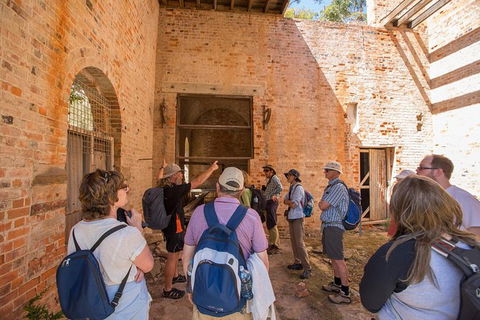 Maria Island Active Day Trip From Hobart - Accommodation Gold Coast 9