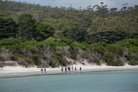 Maria Island Active Day Trip From Hobart - Accommodation Gold Coast 11