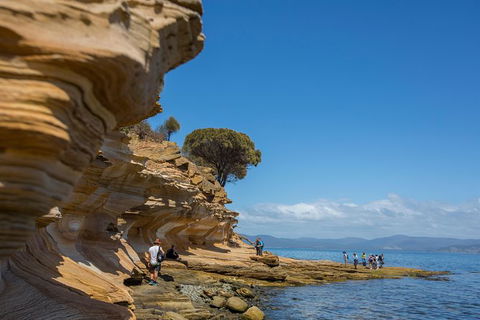 Maria Island Active Day Trip From Hobart - Accommodation Gold Coast 5