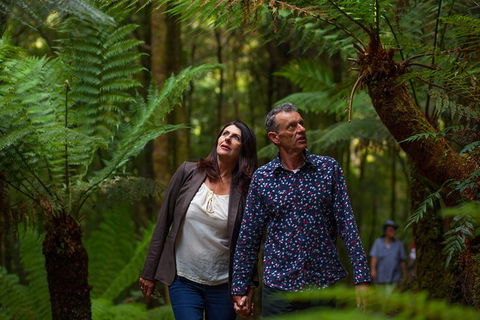 West Coast Wilderness Railway: River And Rainforest From Strahan - Accommodation Gold Coast 3