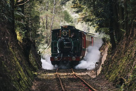 West Coast Wilderness Railway: River And Rainforest From Strahan - Accommodation Gold Coast 2