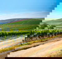 Full Day Tamar Valley Wine Tour - Accommodation Gold Coast