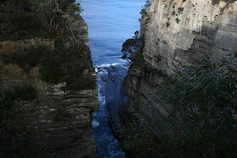 Cruise Ship Special From Port Arthur: Explore Tasman Peninsula With Free WiFi - Accommodation Gold Coast 1