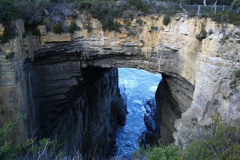 Cruise Ship Special From Port Arthur: Explore Tasman Peninsula With Free WiFi - Accommodation Gold Coast 0