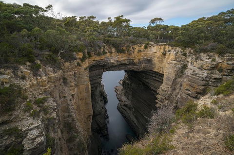 Cruise Ship Special From Port Arthur: Explore Tasman Peninsula With Free WiFi - Accommodation Gold Coast 2