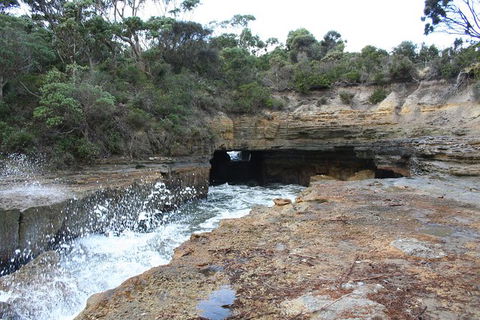 Cruise Ship Special From Port Arthur: Explore Tasman Peninsula With Free WiFi - Accommodation Gold Coast 7