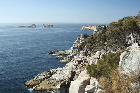 Great Walks Of Australia: 4-Day Freycinet Experience Walk - Accommodation Gold Coast 10