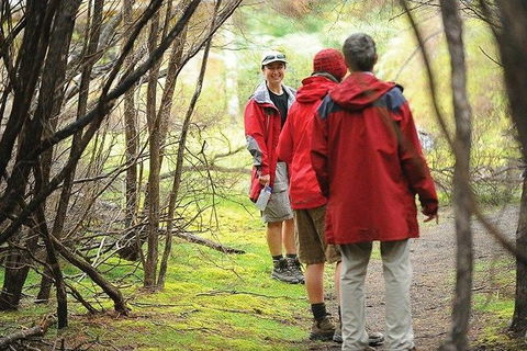Great Walks Of Australia: 4-Day Freycinet Experience Walk - Accommodation Gold Coast 7