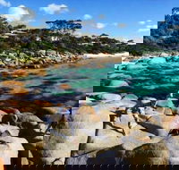 4-Day Tasmania East Coast Adventure from Launceston to Hobart Including Bay of Fires Wineglass Bay Bruny Island and Port Arthu - Accommodation Gold Coast