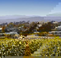 Josef Chromy Wines Winery Tour Including Tasting and Lunch - Accommodation Gold Coast