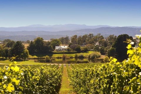 Josef Chromy Wines Winery Tour Including Tasting And Lunch - 1 Gold Coast 0