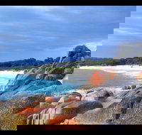 Bay of Fires Day Trip from Launceston - Accommodation Gold Coast