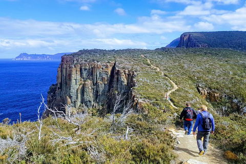 Cape Hauy Hiking Tour - Tasman National Park - Accommodation Gold Coast 0