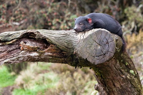 Day Keeper Tour - Accommodation Gold Coast 8
