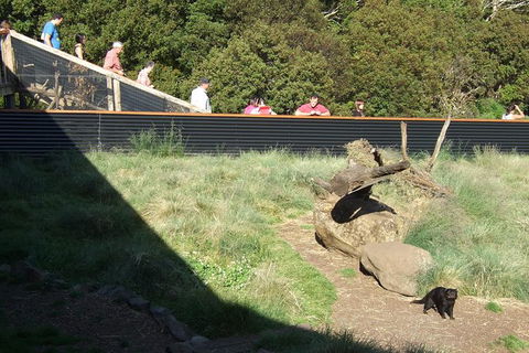 Day Keeper Tour - Accommodation Gold Coast 7