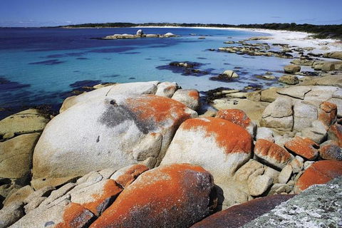 Highlights Of Tasmania 5-Day Small-Group Tour From Hobart - Accommodation Gold Coast 1