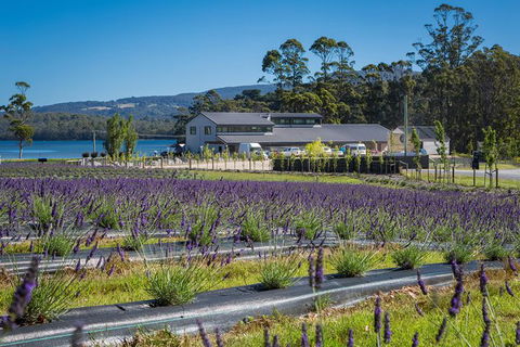 Private Tasman Peninsula Cruise Ship Tour From Port Arthur - Accommodation Gold Coast 0