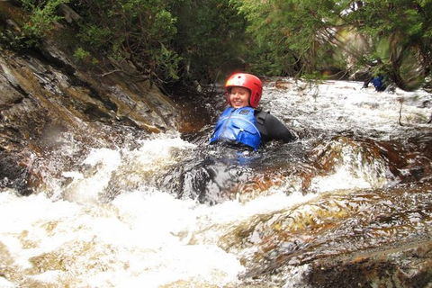Half Day Cradle Mountain Canyoning: Lost World Canyon - Accommodation Gold Coast 0