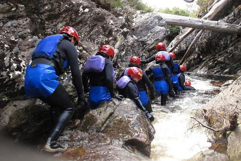 Half Day Cradle Mountain Canyoning: Lost World Canyon - Accommodation Gold Coast 1