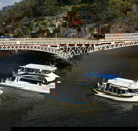 Cataract Gorge Cruise 230 pm - Accommodation Gold Coast