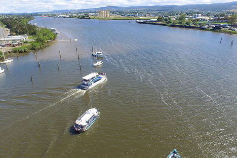 Cataract Gorge Cruise 11:30 Am - Accommodation Gold Coast 1