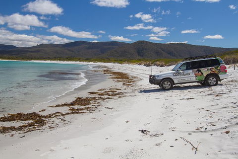 4X4 And Lunch Half Day Bicheno Coastal Mountain - Accommodation Gold Coast 0