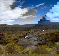 6-Day Overland Track PhotoTour - Accommodation Gold Coast