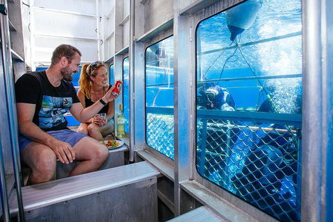 White Shark Tour With Optional Cage Dive From Port Lincoln - Accommodation Gold Coast 4