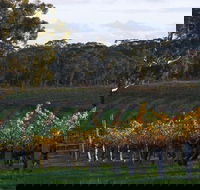 Barossa Valley with Hahndorf Tour from Adelaide - Accommodation Gold Coast