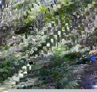 Self-Guided Waterfall Gully to Mount Lofty Hike from Adelaide - Accommodation Gold Coast