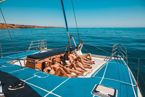 Dolphin Cruise From Adelaide With Optional Dolphin Swim - Accommodation Gold Coast 3