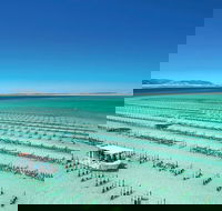 Coffin Bay Day Tour - A Taste of Coffin Bay - Accommodation Gold Coast