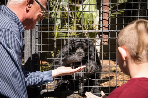 Adelaide Zoo Behind The Scenes Experience: Meet The Primates - 1 Gold Coast 1