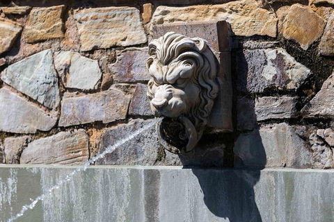 Adelaide 90-Minute Pedicab Tour: Scenic Green & River Experience - 1 Gold Coast 9