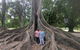 A Taste Of Adelaide And Hahndorf By Car Private Tour. - thumb 11