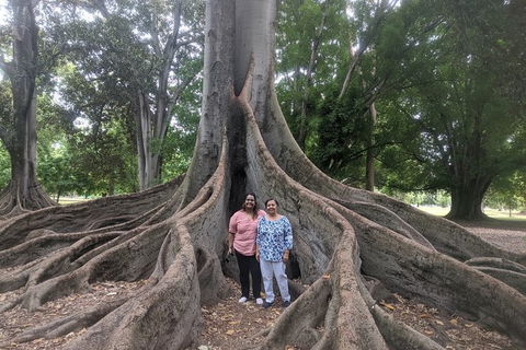 A Taste Of Adelaide And Hahndorf By Car Private Tour. - Accommodation Gold Coast 11