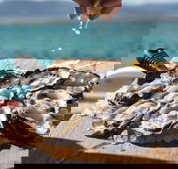 Experience Coffin Bay Short and Sweet Oyster Farm Tour - Accommodation Gold Coast
