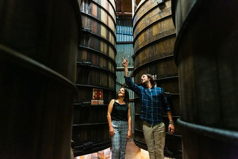 A Day Of Decadence At D'Arenberg - Accommodation Gold Coast 1