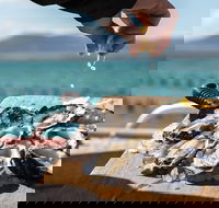 Experience Coffin Bay Oyster Farm and Bay Tour - Accommodation Gold Coast